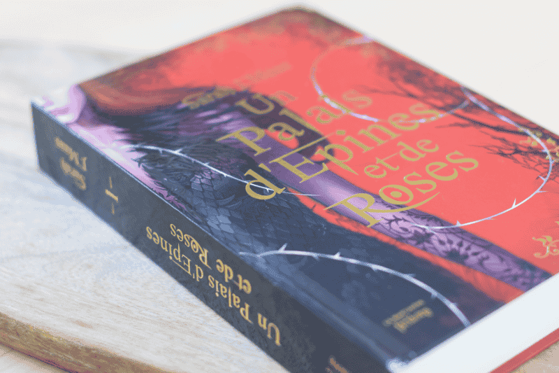 &laquo;&nbsp;Un palais d&rsquo;épines et de roses&nbsp;&raquo;, Sarah J.&nbsp;Maas